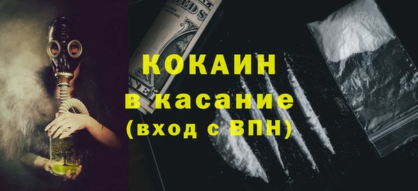 хмурый Алексин