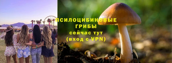 бошки Нязепетровск