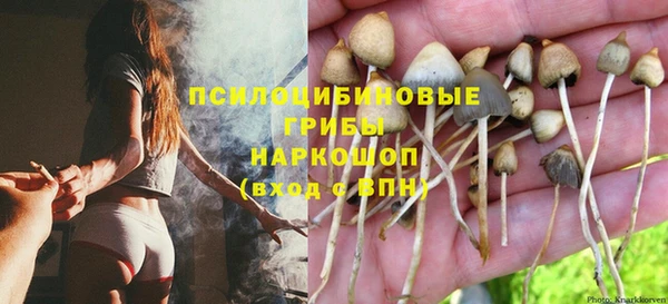 хмурый Алексин