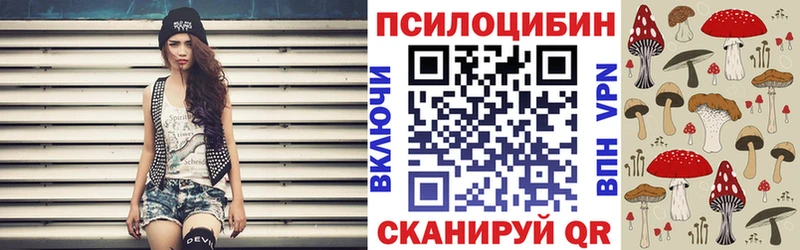 ссылка на мегу tor  Мытищи  Галлюциногенные грибы Psilocybine cubensis 