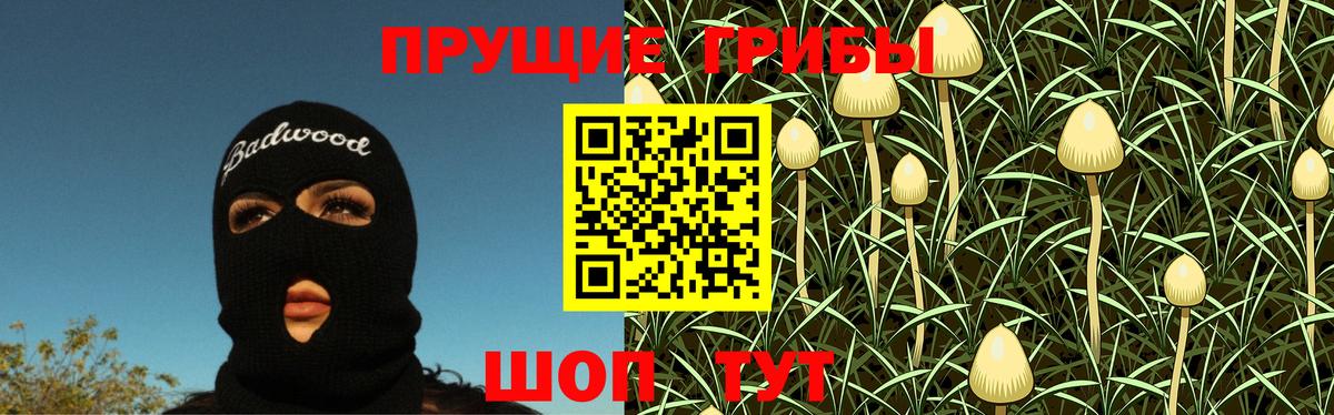 Псилоцибиновые грибы мухоморы Мытищи