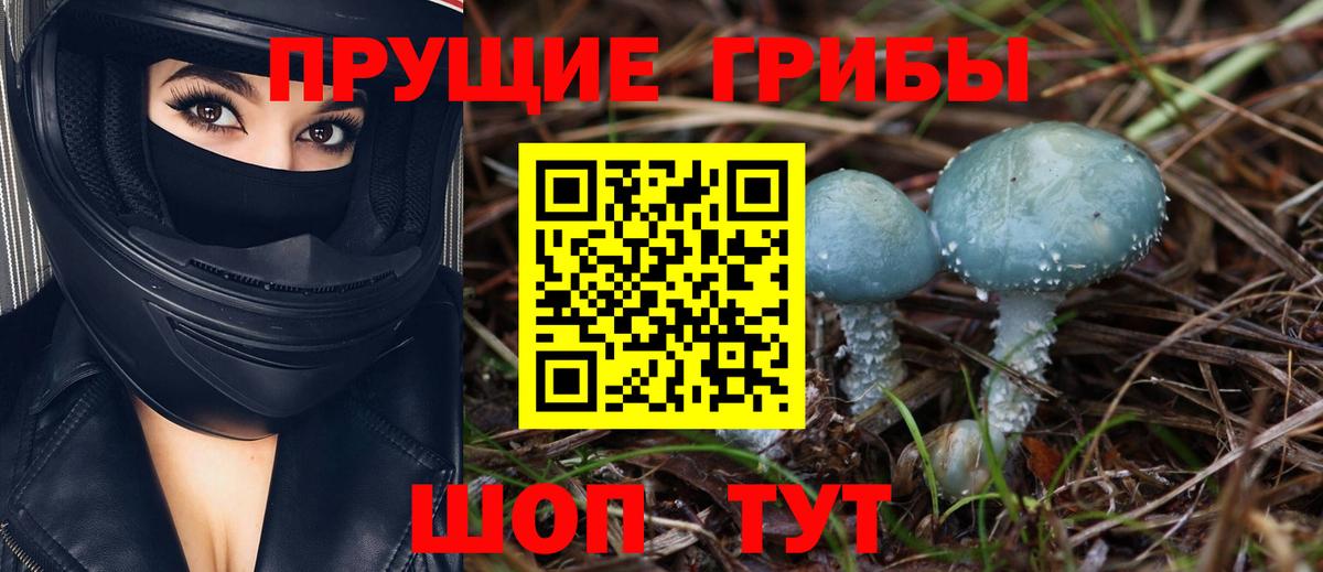 Галлюциногенные грибы Psilocybine cubensis  Вход с VPN  Мытищи 